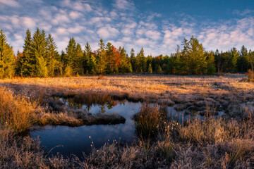 Morning light over wetland field in West Virginia's Blackwater Falls state park