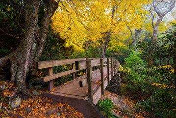 Autumn foliage over footbridge along the Mountains to Sea trail in North Carolina's Blue Ridge...