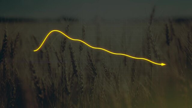 Animation 3D de la ligne de graphique à barres 2D descendante avec flèche vers le bas, valeur du stock Ultra HD 4K, fond de grain, symbole de nourriture alimentaire