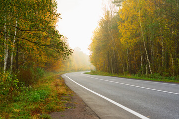 Road in the fog. Autumn time in the forest