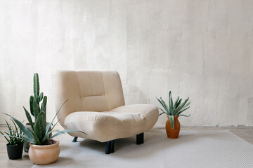 Comfortable armchair close to potted houseplant in room