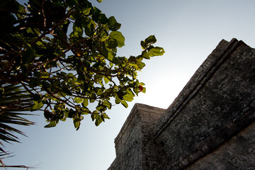 メキシコ・マヤ城壁都市のトゥルム遺跡