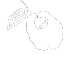 Floral silhouette art line. Flowers in continuous line drawing style. Border with tropical flower. Minimalist black linear sketch. Trendy vector illustration isolated. Contour graphics for design