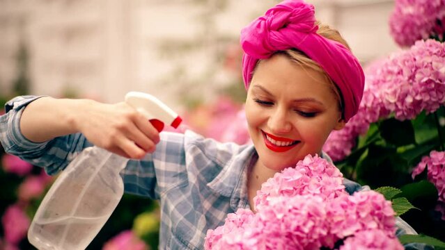 Watering flowers. Woman in backyard cere hydrangea flowers. Gorgeous female gardener planting flowers in garden at summer time. Gardening hobby and leisure.