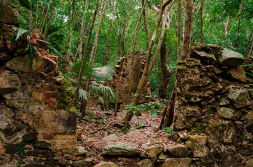 Sugar Plantation Ruins in Jungle