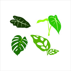 natural green leaves flat illustration