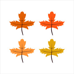 oak leaves floral ornamental element collection