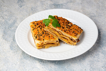 Traditional delicious Turkish cuisine, Turkish food; handmade mince pie, Turkish name; Kayseri Tandir boregi, Tandir boregi