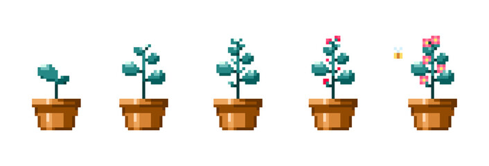 Pixel art plat growth stages. Vintage 90s gaming 8 bit icon set of flower growth process. Vector pixel plant in flower pot game isolated patterns.	