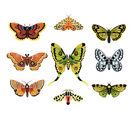 Butterflies, set of hand drawn collection on isolated white background. Vector illustrations. Creative Fluttering, beautiful butterflies.