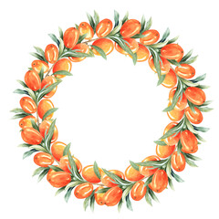 Fototapeta na wymiar Wreath of the sea buckthorn for invitations, thank you cards, greeting cards, plates design. Botanical watercolor illustration of the buckthorn berries isolated on white. Perfect for autumn season.