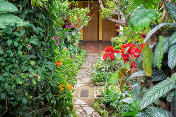 A path in the garden or backyard with wall of plants, trees and flowers on both sides