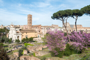 views of roman forum from palatine mountain, Rome