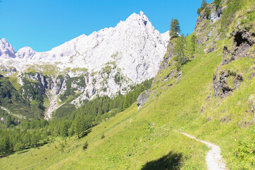 Naklejka premium A path on a green slope towards mountain massif in a sunny day. Italian Alps.
