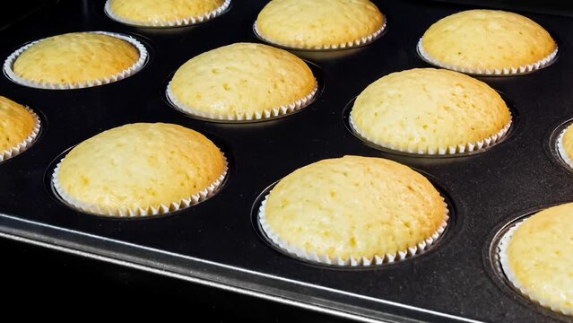 Timelapse - twelve cupcakes, muffins baking and rising in muffin tin in electric oven - zoom out shot. Homemade bakery, food, cooking, pastry and time lapse concept