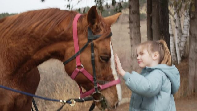 kid with doughnut stroking a beautiful brown harnessed horse with a white spot