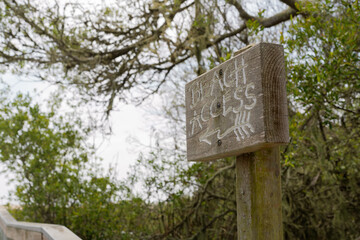 Beach access sign with green trees on background