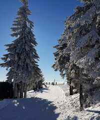 zimowy krajobraz z niebieskim niebem i z zaśnieżoną drogą