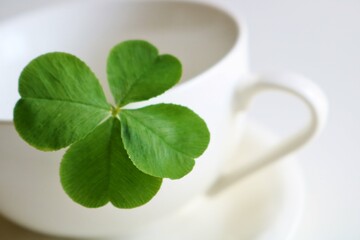 四つ葉のクローバー　背景　コーヒーカップ