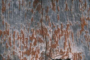 old wood background texture