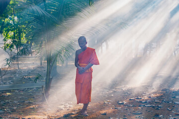 Buddhist monk practice walking meditation under tree in Buddhist temple