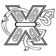 Isolated celtic letter X illustration in vector format
