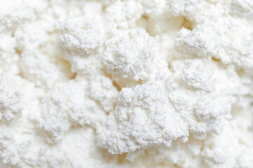 Close-up texture of fresh cottage cheese
