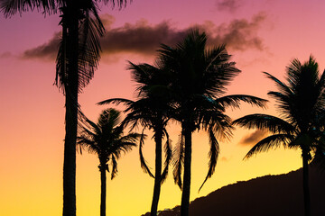 Obraz premium silhouette of coconut trees with a beautiful sunset in the background at ipanema beach in Rio de Janeiro.