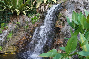 petite water fall
