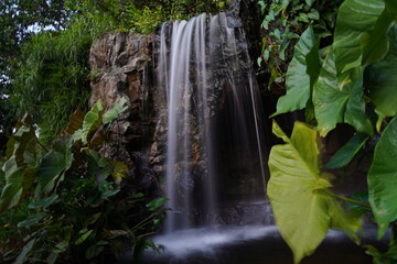 waterfall in the park