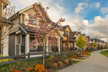 Fototapeta na wymiar Neighborhood modern houses with spring flowers in BC, Canada. Canadian modern residential architecture.