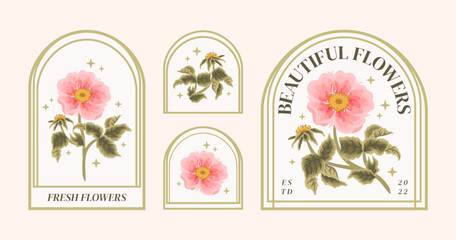 Set of vintage feminine beauty pastel peach pink rosa canina floral logo elements and label vector illustration templates with leaf branch and frame