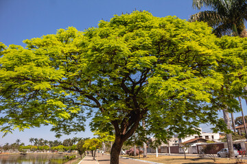 public square in the city of Sete Lagoas, State of Minas Gerais, Brazil