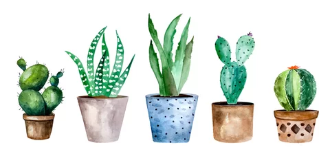Glasschilderij Cactus in pot Aquarel cactussen en succulenten in pot. Aquarel individuele bloempot
