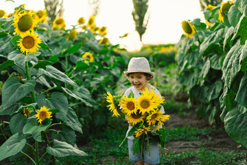 Happy little boy walking in field of sunflowers. Child playing with big flower and having fun. Kid...
