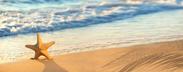 Fototapeta na wymiar Starfish on beautiful sandy sea beach. Banner for design