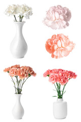 Set of beautiful carnation flowers isolated on white