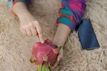 A farmer is checking the quality of an organic red dragon fruit by holding pitaya in his left hand and pointing with the index finger of his right hand at the spots on bark due to insect infestation. 