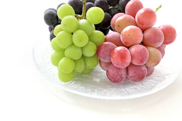 クイーンニーナとシャインマスカット