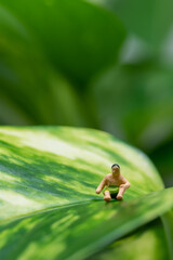 ポトスで思案中