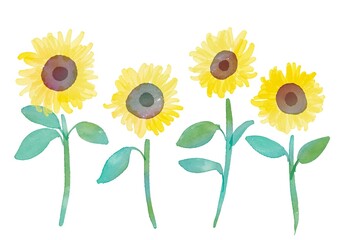 水彩画。ひまわりの水彩イラスト。水彩タッチのひまわりの挿絵。葉っぱつきひまわりのリアルタッチイラスト。Watercolor painting. Watercolor illustration of sunflowers. Watercolor touch sunflowers illustration. Realistic touch illustration of sunflowers with