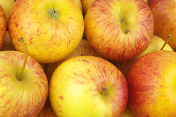 Many ripe yellow-red apples close up as background	