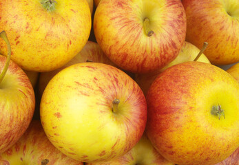 Many ripe yellow-red apples close up as background	