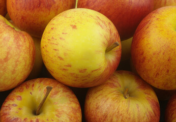 Many ripe yellow-red apples close up as background	