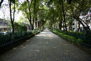 view of a park located in the condesa neighborhood in mexico city