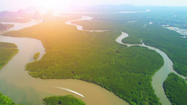 Drone flying over forests, mangroves and beautiful river. fresh green colors of trees. (Samed Nang Chee), Phang Nga Bay, Phang Nga National Park, Thailand. 4K

