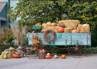 Pumpkins and gourds in wagon during an autumn harvest © Jill Greer