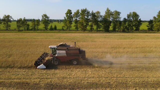 Aerial view Harvester on wheat field.