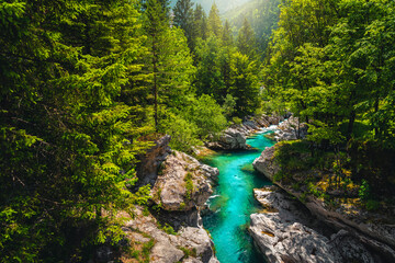 Narrow gorge and Soca river in the forest, Bovec, Slovenia
