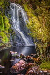 waterfall, moving water, leaning tree